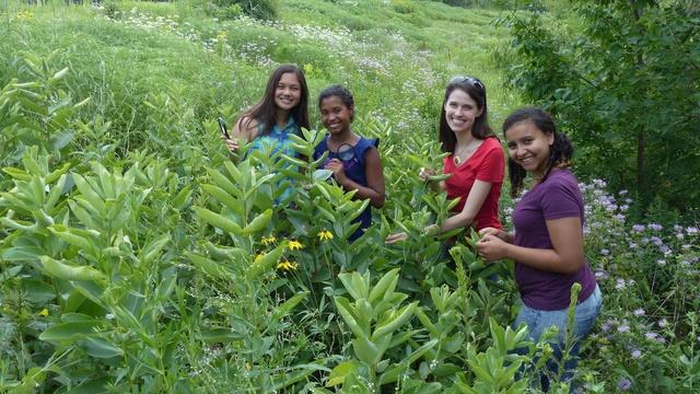 SciGirls | Butterfly Diaries - Full Episode