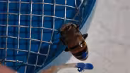 Bee Haven - Test