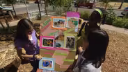 Bee Haven - Share