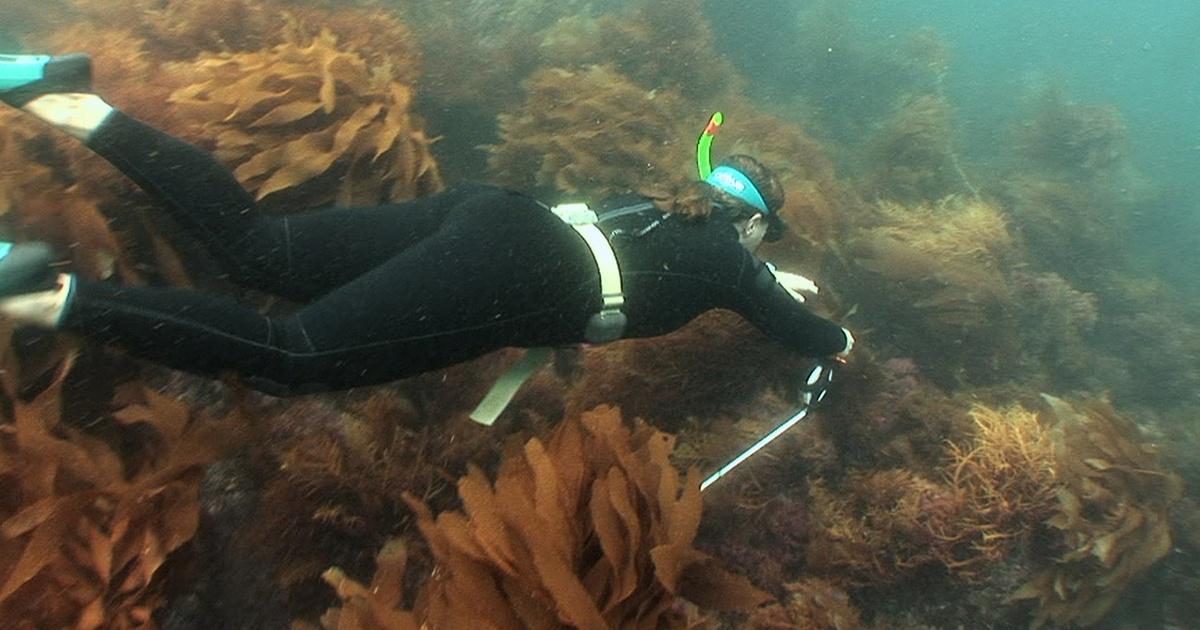 SciGirls | Underwater Eco-Adventure - Data Collection | Season 1 | PBS