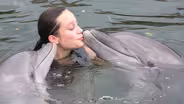 Dolphin Dive - Full Episode