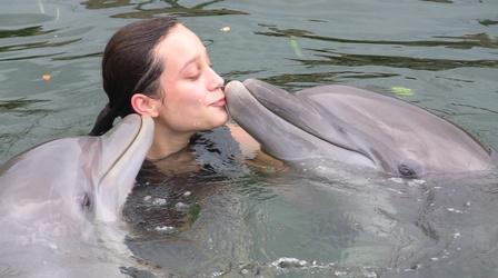 Video thumbnail: SciGirls Nadando con Delfines - Episodio Completo