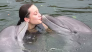 Nadando con Delfines - Episodio Completo