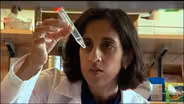 Scientist Profile: Biomedical Engineer