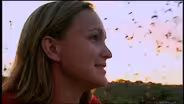 Scientist Profile: Bat Biologist
