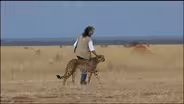 Scientist Profile: Cheetah Conservationist