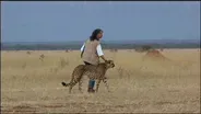Scientist Profile: Cheetah Conservationist