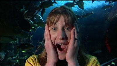 Scientist Profile: Octopus Trainer