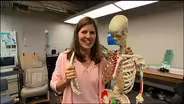 Scientist Profile: Bioengineer