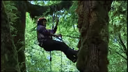 Perfil Cient’fico: Eco_loga Forestal