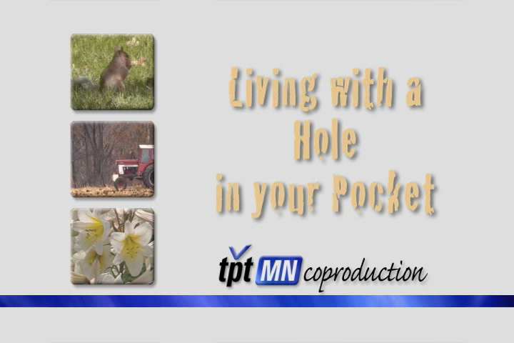 Living With A Hole In Your Pocket