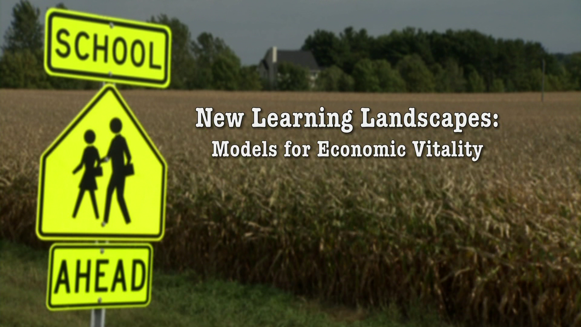 New Learning Landscapes | Models for Economic Vitality