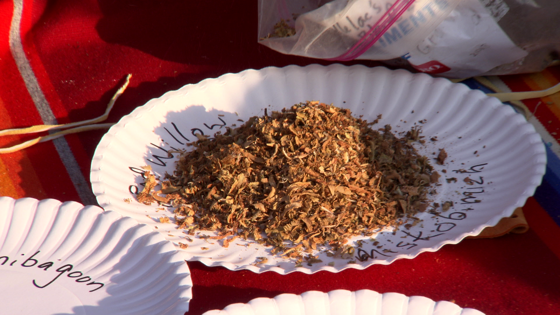 Traditional Tobacco & Promoting Health