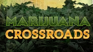Marijuana Crossroads