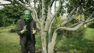 Frankenstein Trees