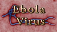 Ebola