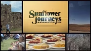 Sunflower Journeys 2801