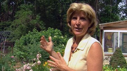 Video thumbnail: KTWU Sunflower Journeys "Going Green" 2602