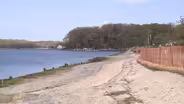 Want to reduce beach erosion? Try coconuts