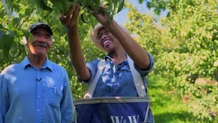 Celebrating Washington PREVIEW