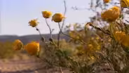 Season 2, Episode 1: What is a Desert?