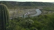 Season 2, Episode 3: Desert Riparian Areas