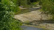 Season 3, Episode 6: Restoring Desert Rivers