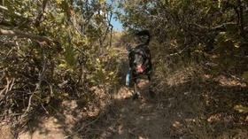 Video thumbnail: Utah Issues Search Dog Training: Human Remains