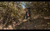 Search Dog Training: Human Remains