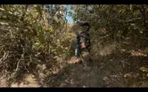 Search Dog Training: Human Remains