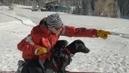 Lessons from the Field: Frankie Intro