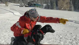 Lessons from the Field: Frankie Intro