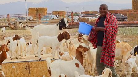 Video thumbnail: Utah Issues Spotlight: East African Goat Project