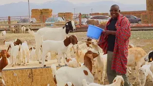 Spotlight: East African Goat Project