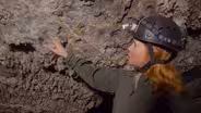 Timpanogos Cave Wall Writings