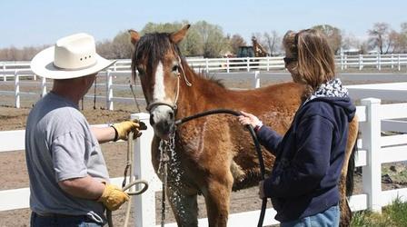 Video thumbnail: Utah Conversations with Ted Capener Dr. Laurie Sullivan Sakaeda