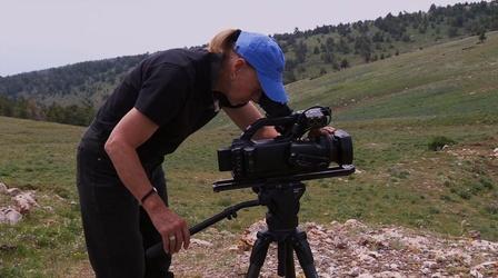 Video thumbnail: Utah Issues Wild Horses Kathrens Clip