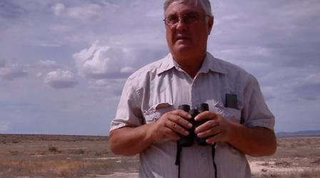 Video thumbnail: Utah Issues Wild Horses Tolbert Clip