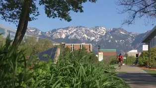 Drs. Douglas Gray and Perry Renshaw