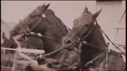 The Anti-Horse Thief Society