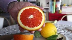 Video thumbnail: Nebraska Stories Nebraska Stories: Greenhouse in the Snow