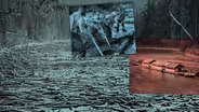 The Last Log Drive