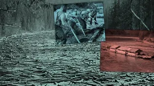 The Last Log Drive