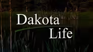 Activities that will enrich your life