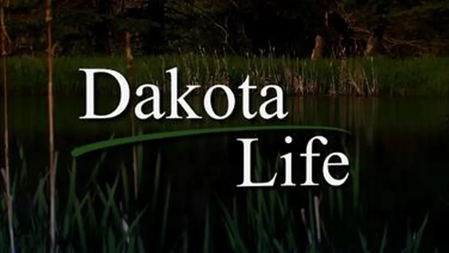 Activities that will enrich your life