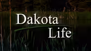 Unique Perspectives of SD