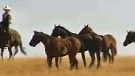 Video thumbnail: Dakota Pathways Cowboys on the Open Range