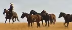 Cowboys on the Open Range
