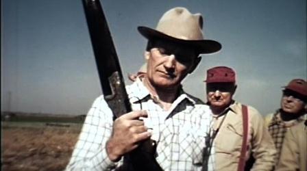 Video thumbnail: Images of the Past Pheasant Hunting - 1950s & 60s