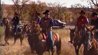 1991 Custer State Park Buffalo Roundup